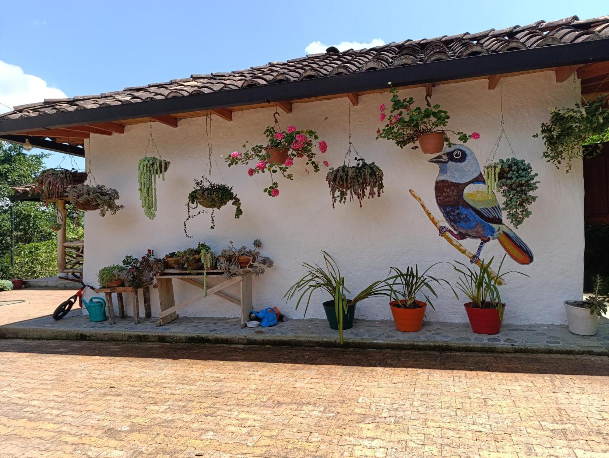Finca Cometa San Agustín Esterno foto